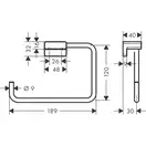 Рушникотримувач - кільце Hansgrohe AddStoris, Brushed Bronze (41754140)