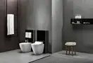 Напольный унитаз-биде Geberit AquaClean Tuma Comfort (cталь нержавеющая матированная) (146.310.FW.1) фото 2 Aquada.com.ua