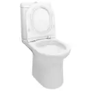 Унитаз-компакт Qtap Kolibri с сиденьем Soft-close QT1022C667PW