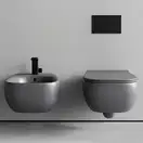 Унитаз подвесной Goclean® (безободковый) Flaminia Fluo с сиденьем Soft Close, цвет - Cenere opaco (матовый) FU118G+FUCW05 Cenere