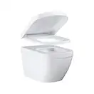 Унітаз підвісний Grohe EuroCeramic 54 з кришкою-сидінням Softclose, білий (39328000/39330001) (39328000_39330001)