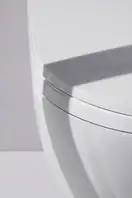 Унитаз-биде Rimless (безободковый) Laufen Cleanet Riva (сиденье в комплекте), белый матовый (820691.757.000.1) фото 20 Aquada.com.ua