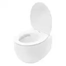 Rea LARS Унитаз подвесной, белый (REA-C9500)