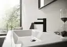 Смеситель для раковины Hansgrohe Finoris (цвет - чёрный матовый), с донным клапаном (76020670) фото 2 Aquada.com.ua