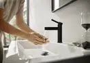 Смеситель для раковины Hansgrohe Finoris (цвет - чёрный матовый), с донным клапаном Push Open (76023670) фото 2 Aquada.com.ua