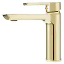 Смеситель для раковины (умывальника) REA  ARGUS GOLD золотой низкий (REA-B6212)
