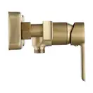 Смеситель для ванны и душа REA ARGUS BRUSHED GOLD настенный без излива (REA-B6413)