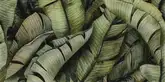 Декор Універсальний Leaf B SZKL 30x60 код 1240 Ceramika Paradyz (IG--300X600-1-UNIW.--LEB2)