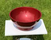 Snail Селена Умывальник накладной, бордо (104H200)