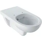 Geberit Selnova Comfort Подвесной унитаз, белый (501.046.00.7)