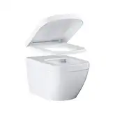 Унітаз підвісний Grohe EuroCeramic 54 з кришкою-сидінням Softclose, білий (39328000/39330001) (39328000_39330001)