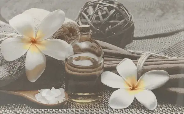 Cersanit Декор Olivia Grey Spa2 25x40 код 9243 Церсаніт (TDZZ1213746040)