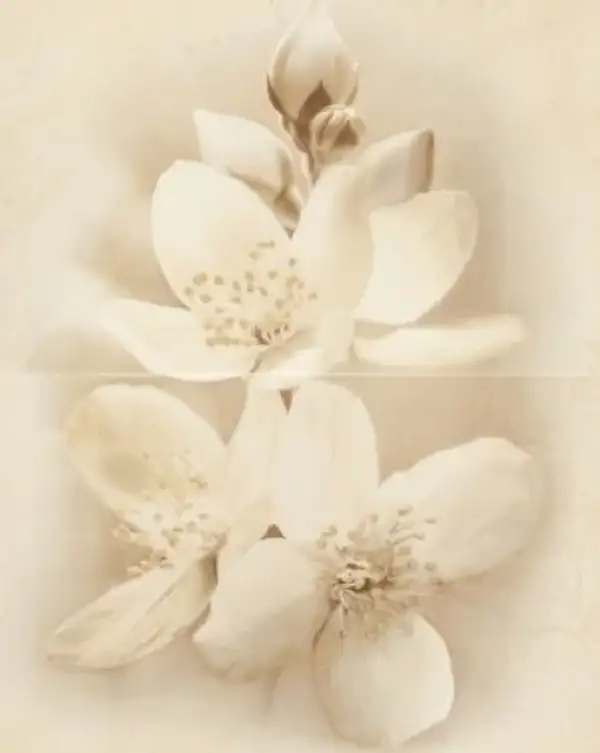 Декор Diana Flower 400x500x8 Cersanit (TDZZ1213771889)