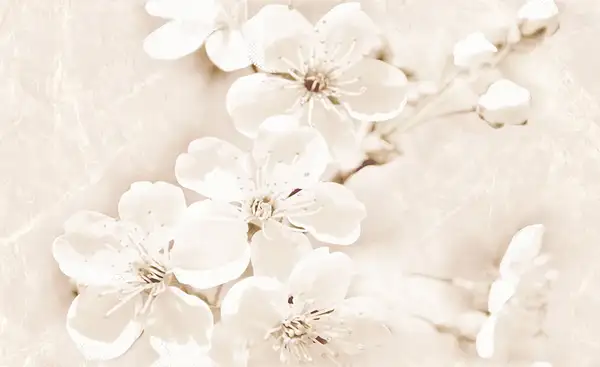 Cersanit Декор Sofi Flower 25x40 код 7148 Церсаніт (TDZZ1253181079)