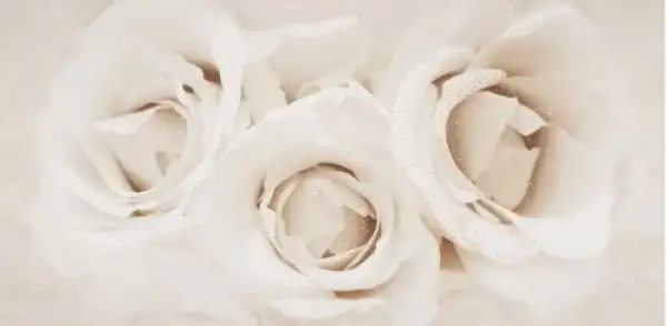 OPOCZNO Декор Camelia Flower 29,7x60 код 3423 Опочно (TDZZ1228852018)