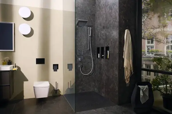 Штанга для душу 65 см Hansgrohe Pulsify E БЕЗ ЛІЙКИ (колір - хром) 24404000
