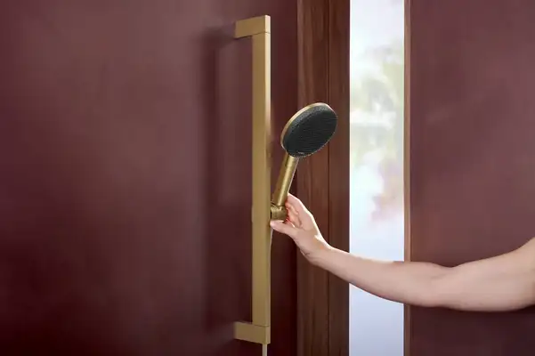 Hansgrohe Raindance Alive S Ecosmart, шлифованная бронза (24600140) Hansgrohe Raindance Alive S Ecosmart, шлифованная бронза (24600140)