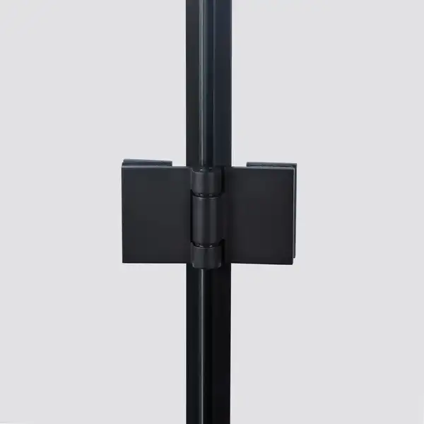 Душевая кабина Qtap Capricorn BLA10128RC6 120x80 см, стекло Clear 6 мм, покрытие CalcLess без поддона (CAPBLA10128RC6) Душевая кабина Qtap Capricorn BLA10128RC6 120x80 см, стекло Clear 6 мм, покрытие CalcLess без поддона (CAPBLA10128RC6)