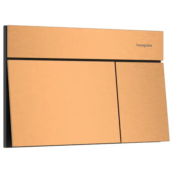 HANSGROHE iFrame Element E Клавиша смыва, Brushed Bronze (66003140) HANSGROHE iFrame Element E Клавиша смыва, Brushed Bronze (66003140)