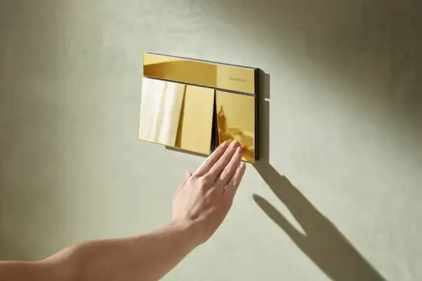 HANSGROHE iFrame E Клавиша смыва, Polished Gold (66003990) HANSGROHE iFrame E Клавиша смыва, Polished Gold (66003990)