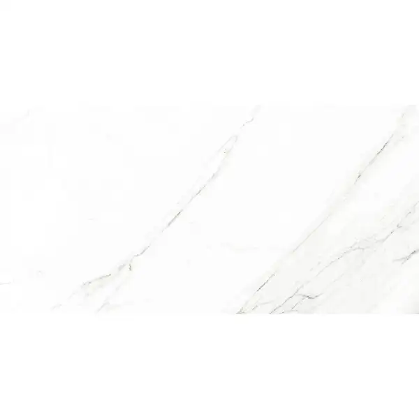 ARCANA CERAMICA Плитка керамогранітна Les Bijoux Nagoya-R Blanco POL 593x1193x11 Arcana (8P25)