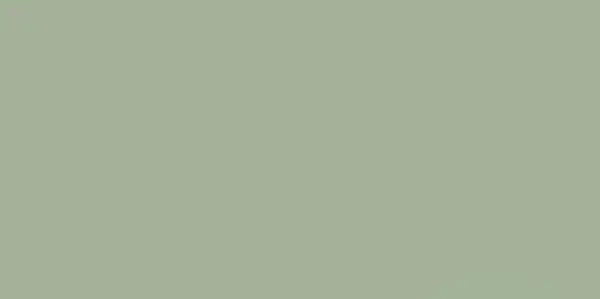 PARADYZ Feelings Green Плитка настенная, зеленая (S-R-298X598-1-FEES.GN) PARADYZ Feelings Green Плитка настенная, зеленая (S-R-298X598-1-FEES.GN)