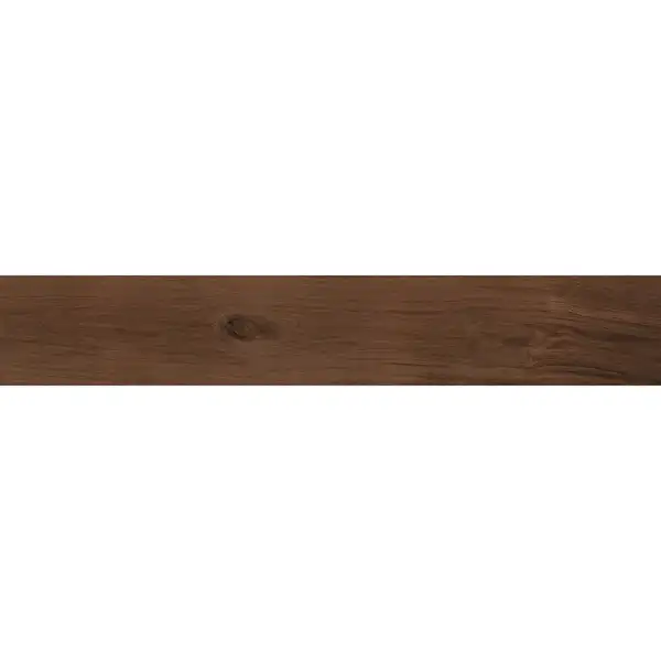 Керамогранит Almera Ceramica Selva Cherry R PRI. 22,5 х 119,5 см 450661