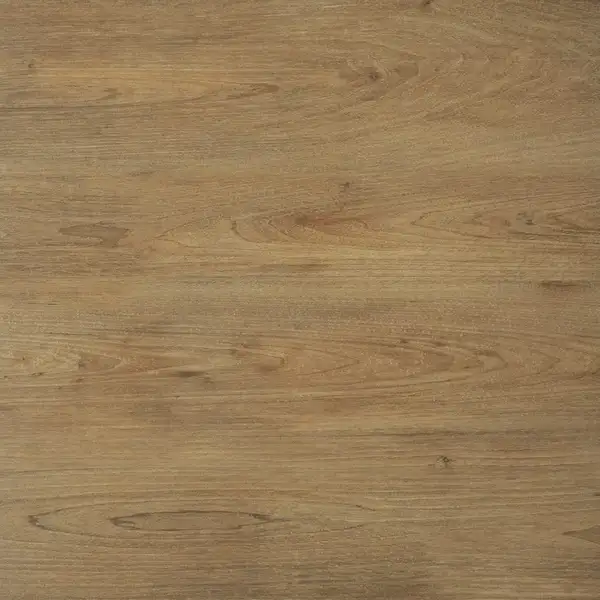 Плитка підлогова Ragaya Бежевий RECT 59,7x59,7x2 код 2219 Cerrad (5900423052219)