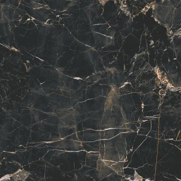 CERRAD Marquina Gold Плитка напольная, черная с золотом (5903313315258) CERRAD Marquina Gold Плитка напольная, черная с золотом (5903313315258)