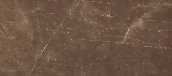 RAVIRAJ CERAMICS Armani Coffee Керамограніт, полір. (60x120) (Armani Coffee 60x120 polished)