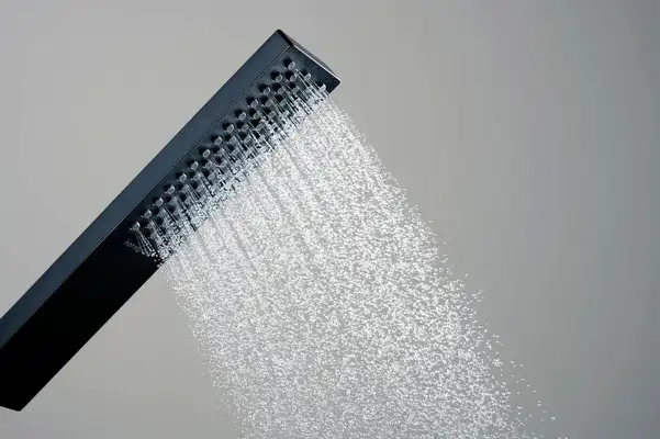 Лейка для душа Hansgrohe Pulsify E 100 1jet EcoSmart+ (цвет - чёрный матовый) 24321670