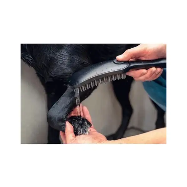 Ручний душ Hansgrohe DogShower 150 3Jet Petrol, синій (26640540)