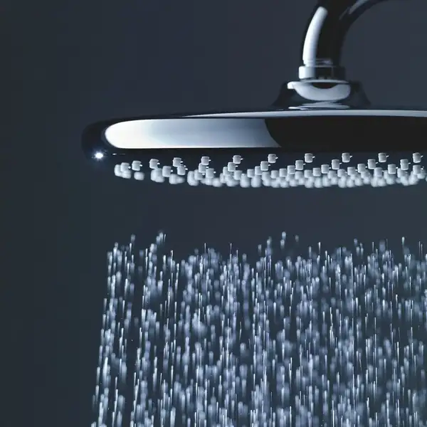Верхній душ з настінним кронштейном Grohe Tempesta (260000) (26668000) Верхній душ з настінним кронштейном Grohe Tempesta (260000) (26668000)