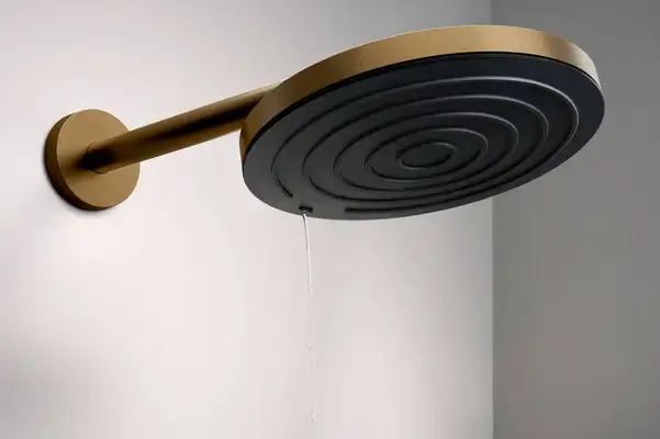 Верхний душ Ø260 мм Hansgrohe Pulsify S EcoSmart, 1 вид струи (цвет - шлифованная бронза) 24141140