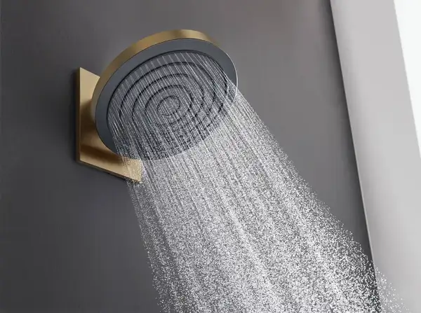 Верхний душ Ø260 мм Hansgrohe Pulsify S EcoSmart, 1 вид струи (цвет - шлифованная бронза) 24141140