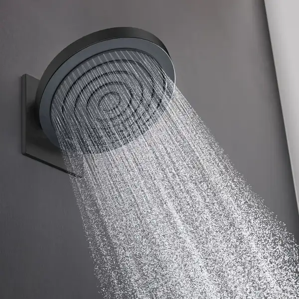 Верхний душ Ø 260 мм Hansgrohe Pulsify EcoSmart, 2 вида струи (цвет - чёрный матовый) (24151670) Верхний душ Ø 260 мм Hansgrohe Pulsify EcoSmart, 2 вида струи (цвет - чёрный матовый) (24151670)