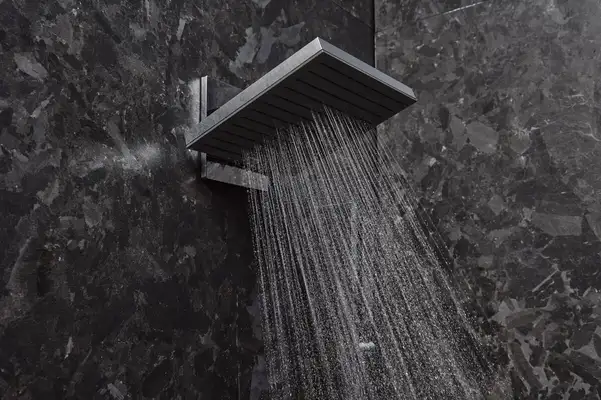 Верхній душ 260 х 260 мм Hansgrohe Pulsify E EcoSmart, 2 види струменя (колір - хром) 24351000 Верхній душ 260 х 260 мм Hansgrohe Pulsify E EcoSmart, 2 види струменя (колір - хром) 24351000