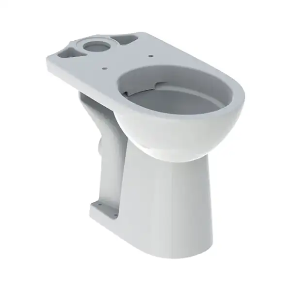 GEBERIT SELNOVA Comfort унитаз напольный Rimfree, воронкоподобный, под бачок внешнего монтажа, горизонтальный выпуск, увеличенной высоты (500.486.01.1) фото 1 Aquada.com.ua