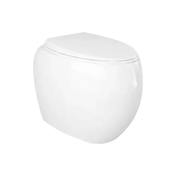 Унитаз напольный, пристенный, безободковый Rak Ceramics Сloud, без сиденья, белый глянец (CLOWC1346AWHA)