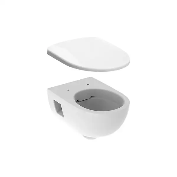 Унитаз подвесной Rimfree (безободковий) Geberit Selnova с сиденьем Soft Close QuickRelease (501.545.01.1+500.335.01.1)