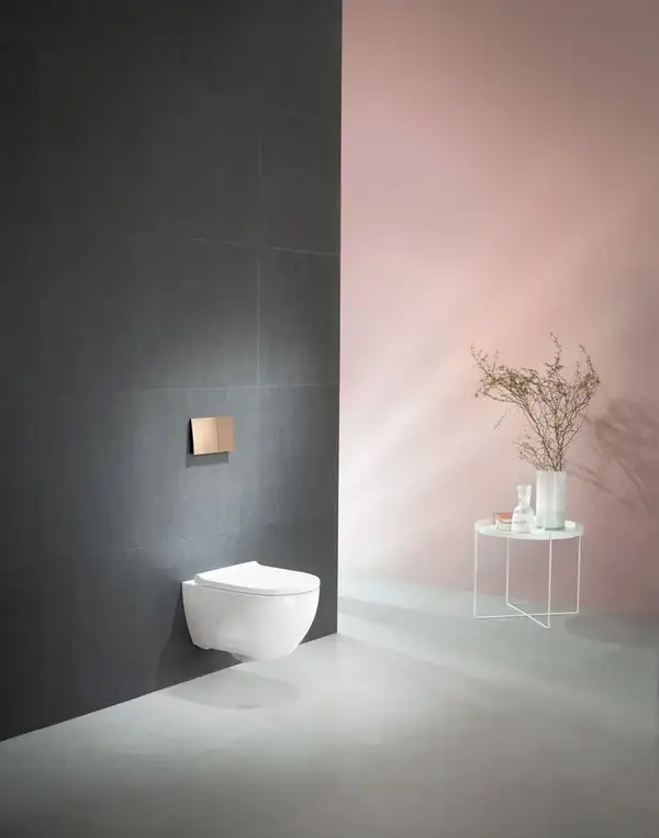 Geberit Acanto Унитаз подвесной безободковый (502.774.00.1)