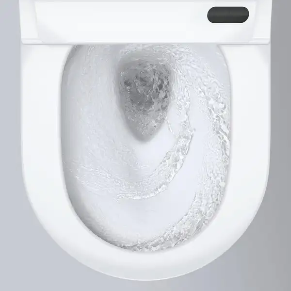 Grohe Sensia Pro Унитаз-биде настенный, белый (36508SH0) Grohe Sensia Pro Унитаз-биде настенный, белый (36508SH0)