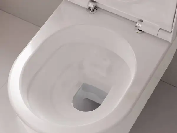 Унітаз підвісний AquaFall Flush (безободковий) Hansgrohe EluPura S в комплекті з сидінням SoftClose  60193450 + 60148450