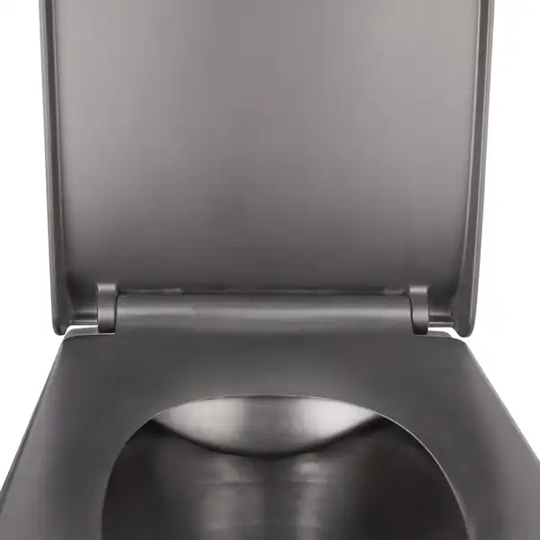 Унитаз подвесной Qtap Tern безободковый с сиденьем Soft-close QT1733052ERMB Унитаз подвесной Qtap Tern безободковый с сиденьем Soft-close QT1733052ERMB