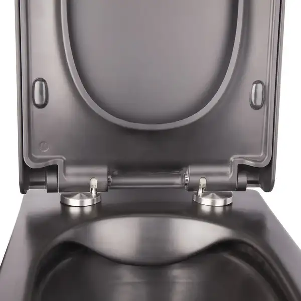 Унитаз подвесной Qtap Tern безободковый с сиденьем Soft-close QT1733052ERMB Унитаз подвесной Qtap Tern безободковый с сиденьем Soft-close QT1733052ERMB